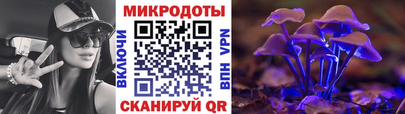 закладки  Борисоглебск  Псилоцибиновые грибы прущие грибы 